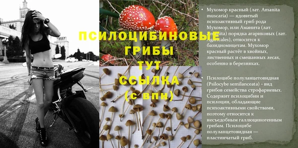 экстази Карпинск