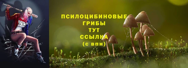 экстази Карпинск