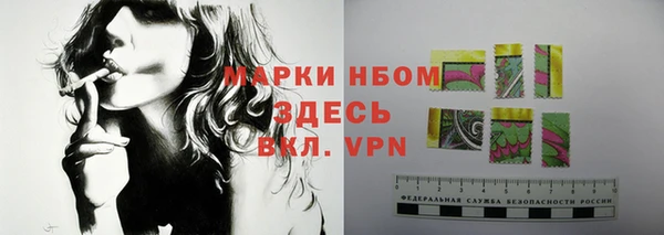 мдпв Касимов