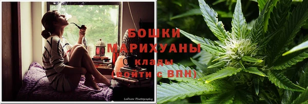 мдпв Касимов