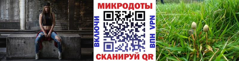 Псилоцибиновые грибы прущие грибы Зима